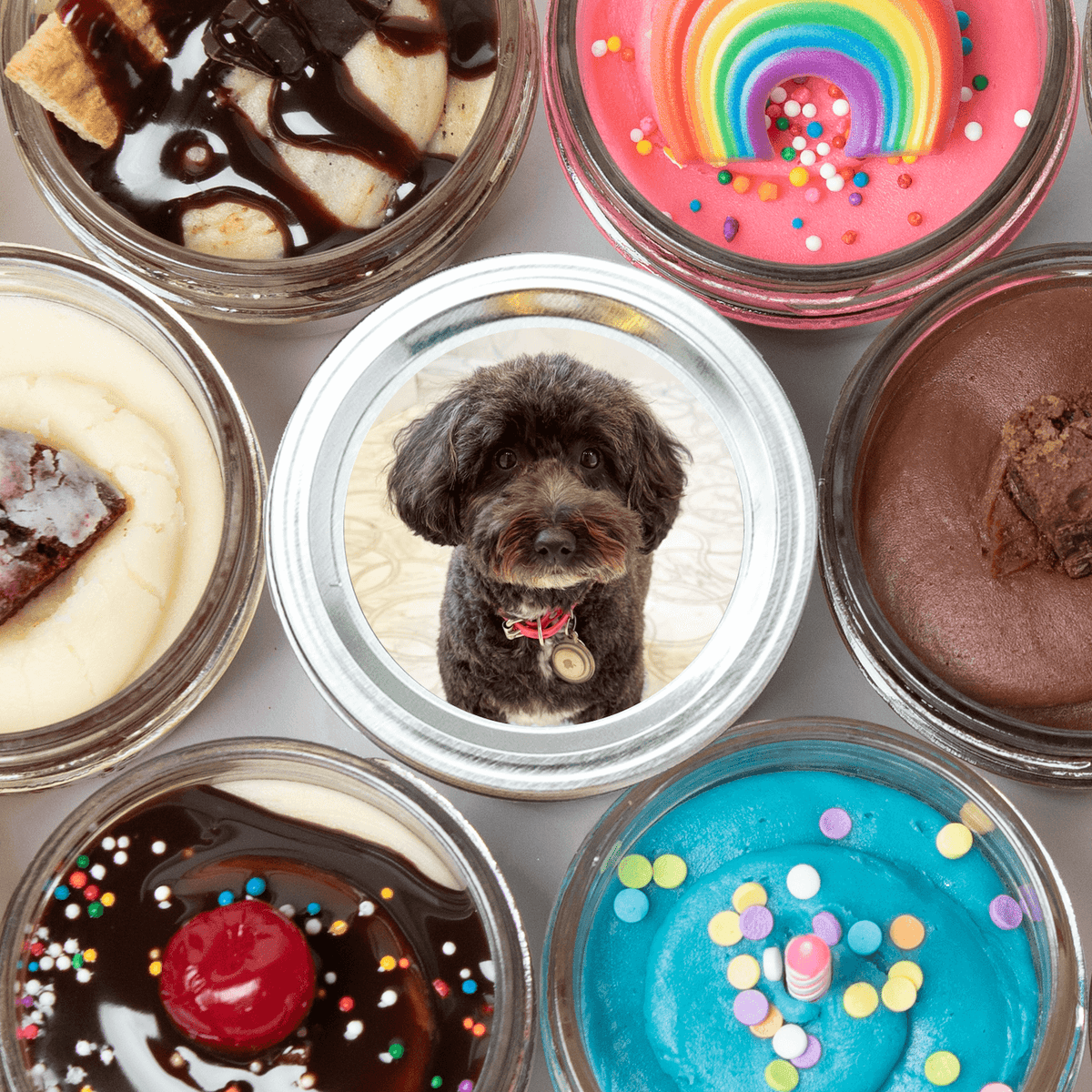 Personalized Jarcake: Custom Photo Nut-Free Dessert