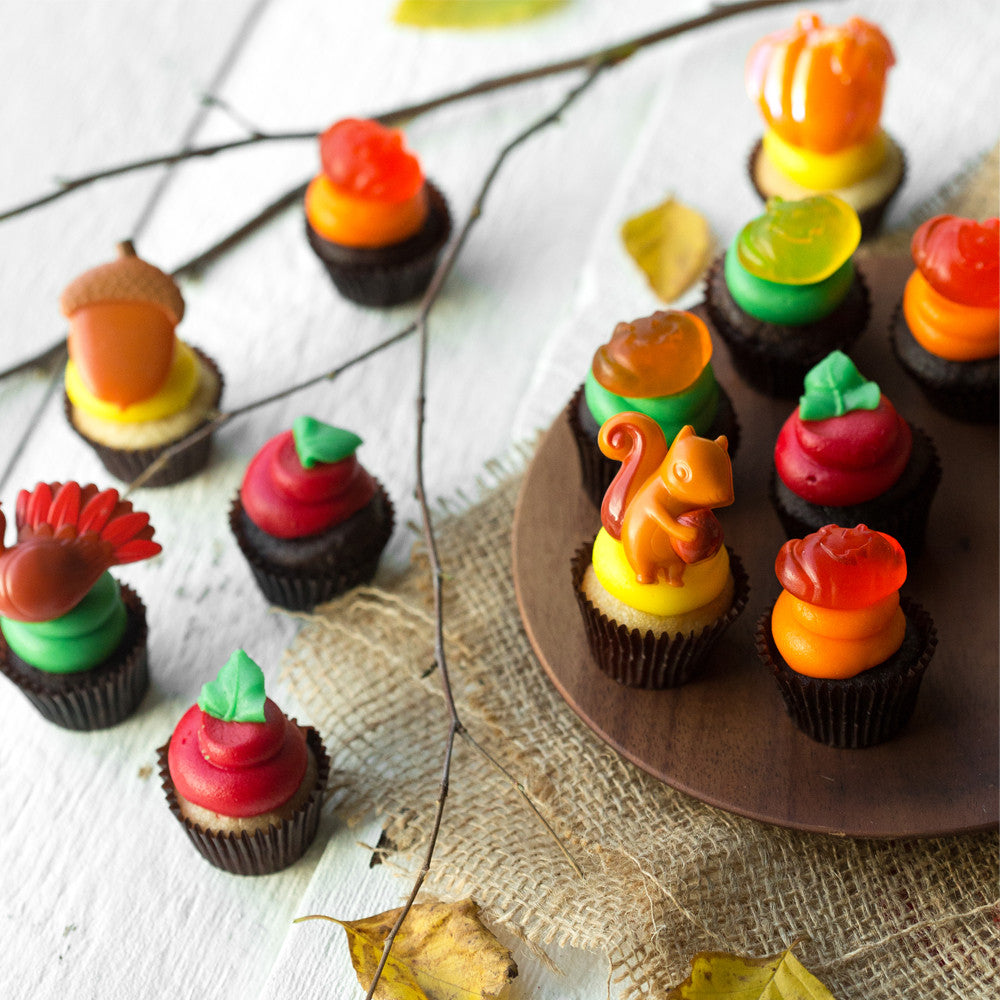 The Fall Favourites Dozen nut-free cupcakes; chocolate and vanilla with autumn decorations, for Toronto delivery.
