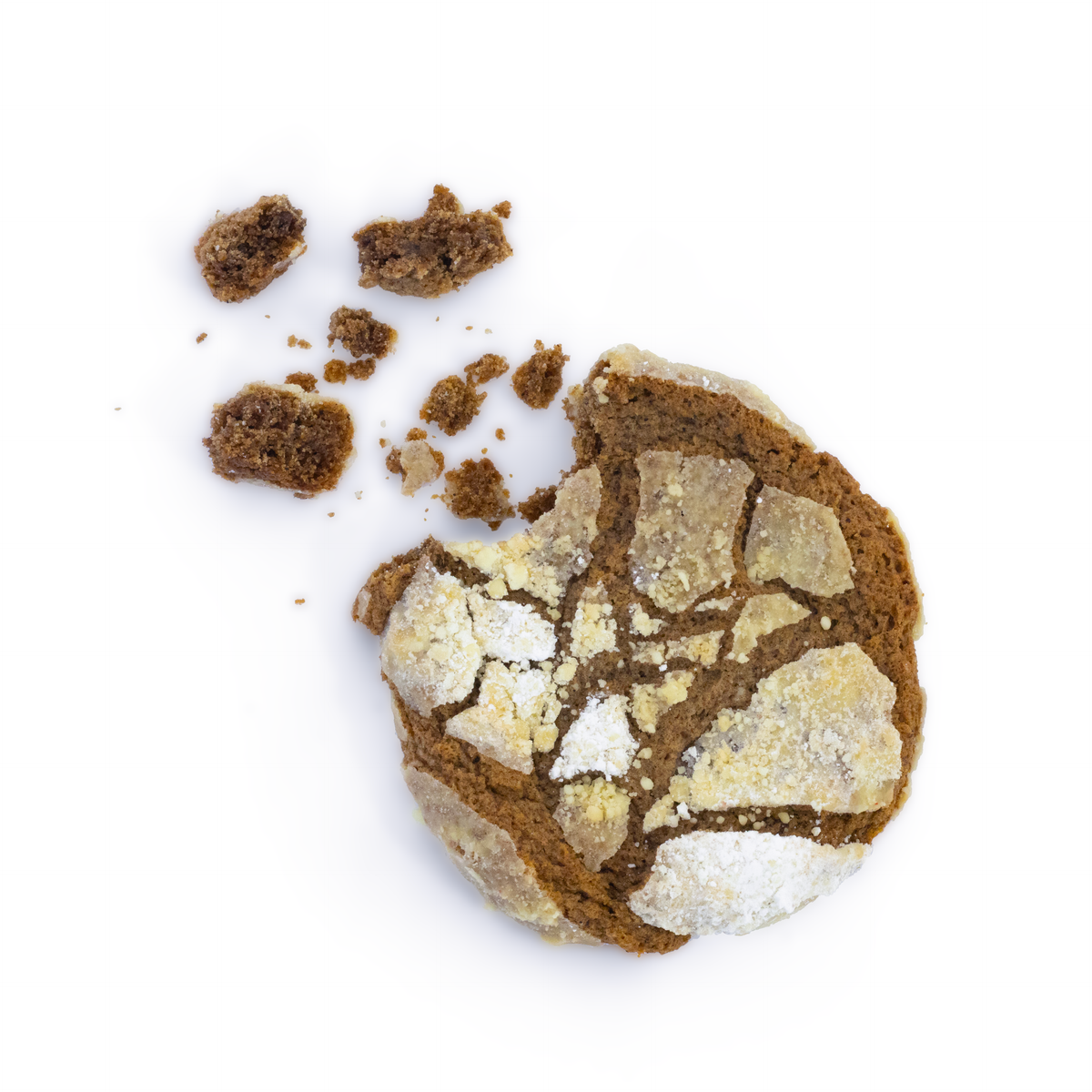 Single soft-baked Pumpkin Spice nut-free cookie, individually wrapped, dusted with crunchy sugar for a treat in Toronto.