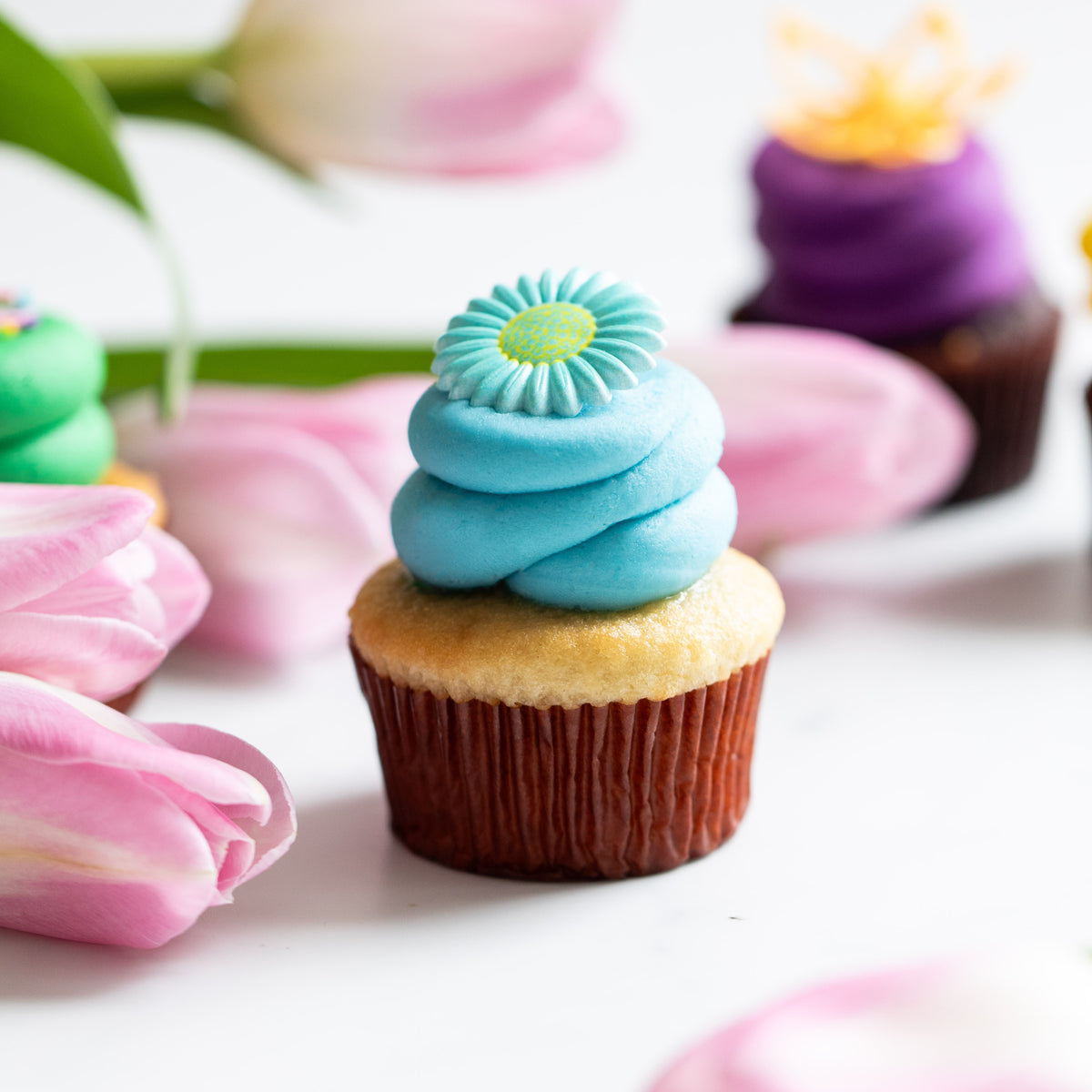 Spring Cupcake (Single): Nut-Free Treat