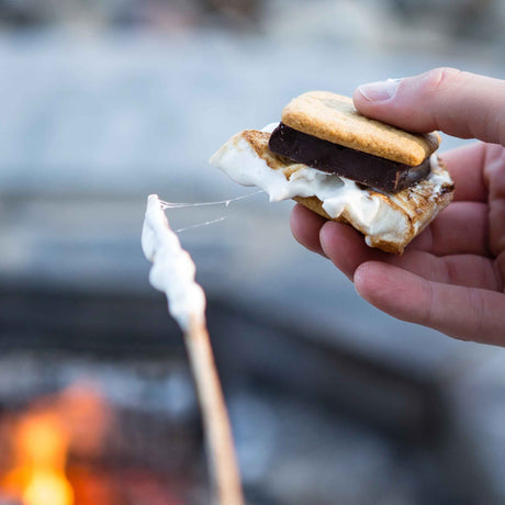 S'mores Kit: Nut-Free Campfire Treat & Family Activity