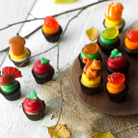 The Fall Favourites Dozen nut-free cupcakes; chocolate and vanilla with autumn decorations, for Toronto delivery.