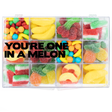 The "You're One in a Melon" Snackle Box 12-compartment, recloseable tackle box filled with assorted nut-free fruit candy for easy gifting in Toronto.